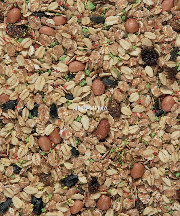 6329914957f6360bbaf0e3b61b11f5ac