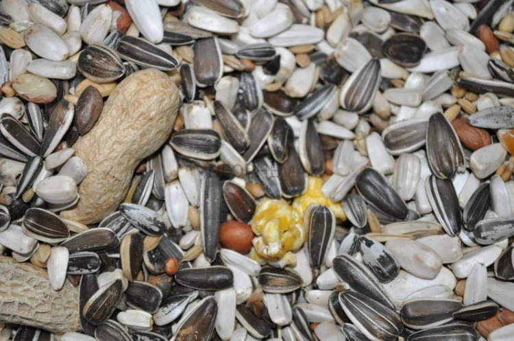 7d4ab13a3e9ccaa0f5115f903c196f00