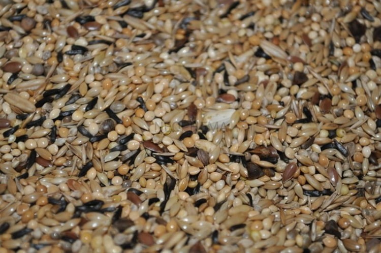 e6cdcf8d545937cff7c4b024f9d07e75