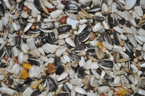 342a355f31815727bc900ac2baf1716b