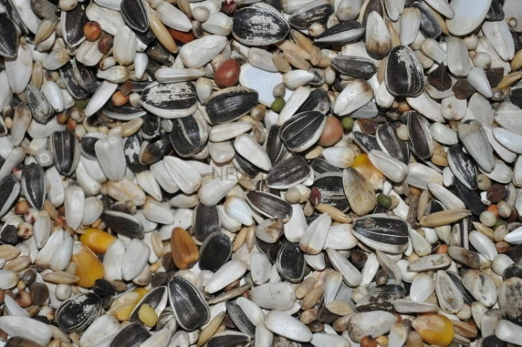 342a355f31815727bc900ac2baf1716b