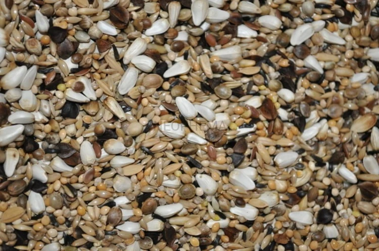 31affb7f854f0c955c8f7717ebc3447f