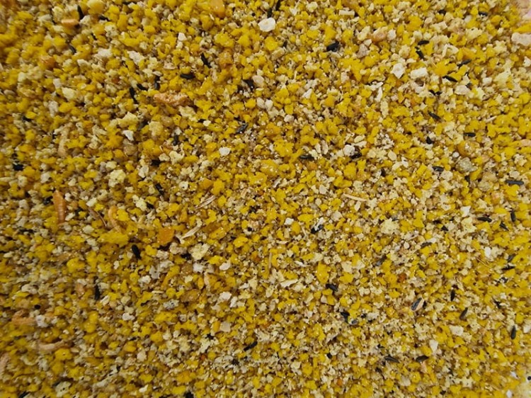 MANITOBA DOLCE ESOTICO POKARM JAJECZNY DLA DROBNEJ EGZOTYKI-001