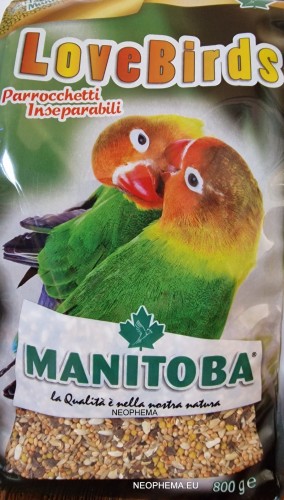 MANITOBA LOVEBIRDS 800G-002