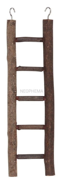 6635