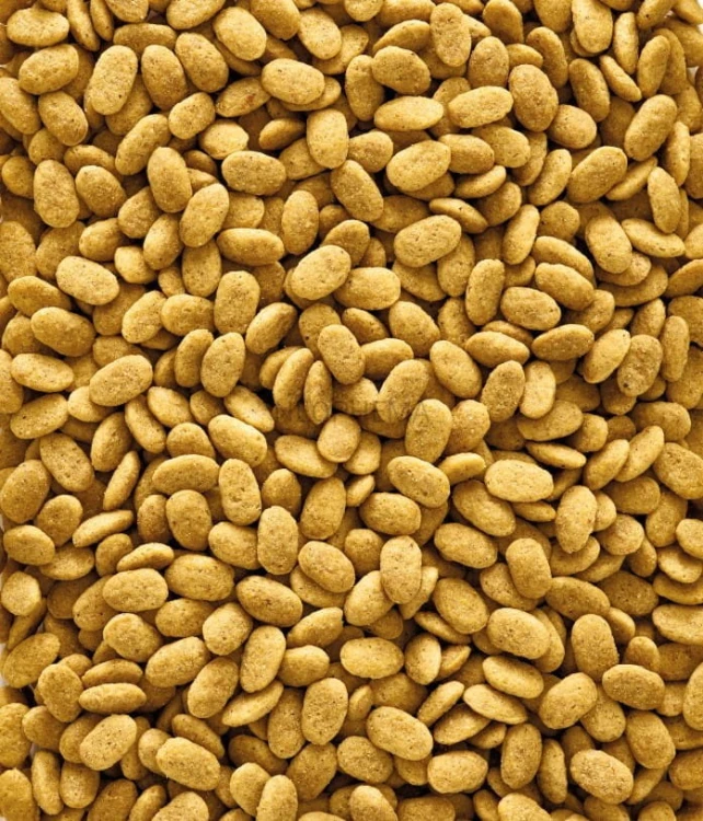 6391