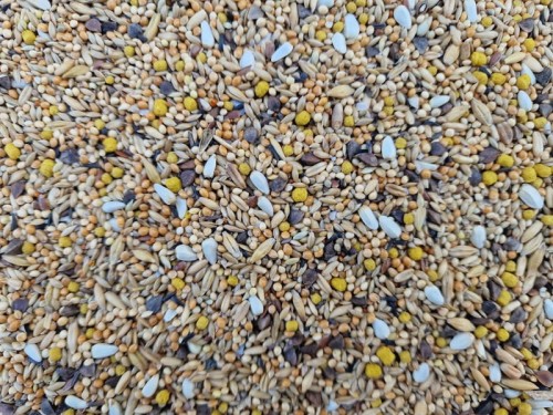 MANITOBA NEOPHEMA PARAKEETS POKARM DLA ŁAKÓWEK LILIANEK, MAŁYCH I ŚREDNICH PAPUG