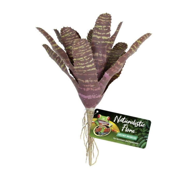 ZOO MED ROŚLINA BROMELIA.jpg
