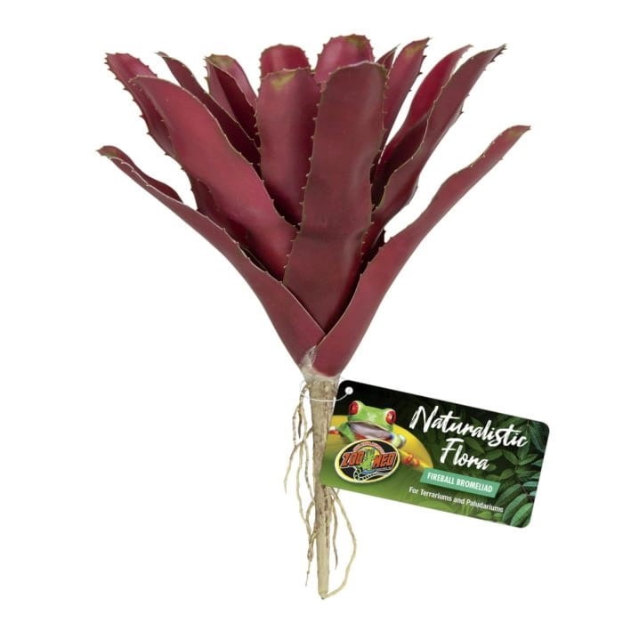 ZOO MED ROŚLINA BROMELIA 1.jpg