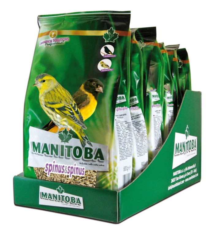 MANITOBA SPINUS & SPINUS 800G