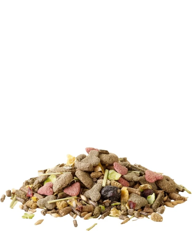 versele laga crispy muesli guinea pig 1.jpg