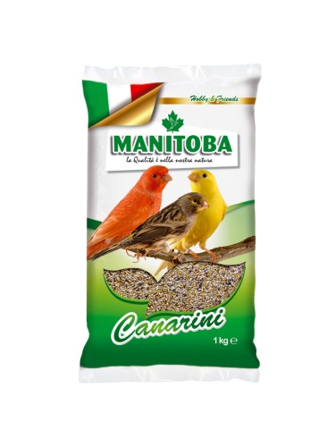 MANITOBA CANARINI T1 BIS. 1KG 60011.jpg