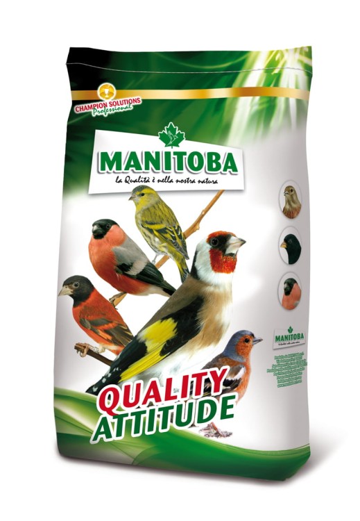 MANITOBA SPINUS EXTRA FANCY 15KG 26009