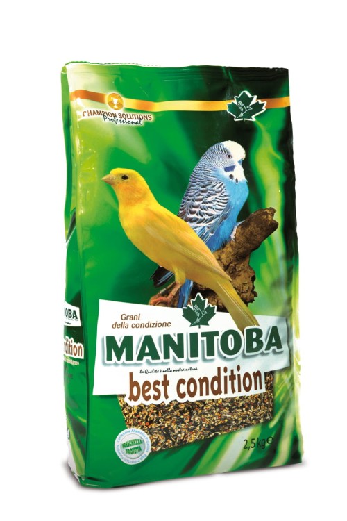 MANITOBA BEST CONDITION