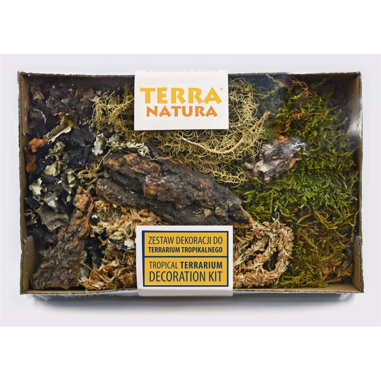 zestaw-dekoracji-do-terrarium-tropikalnego 44042