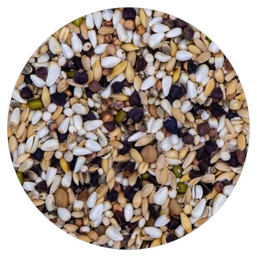 VAESEN-VDC-GERMINATION-SEEDS-PARROTS-FINE DO KIEŁKOWANIA DLA PAPUG