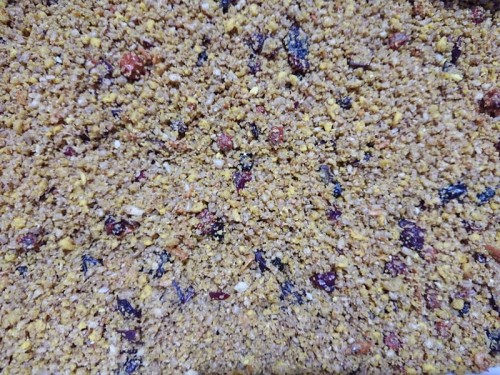 VERSELE LAGA NUTRIBIRD ORLUX PARROTS 0,5KG 1