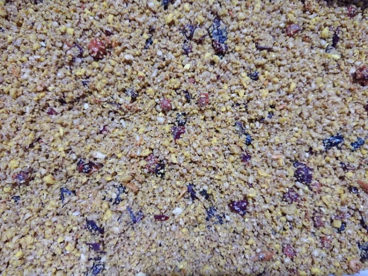 VERSELE LAGA NUTRIBIRD ORLUX PARROTS 0,5KG 1