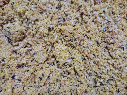 VERSELE LAGA TROPICALFINCHES 0,5KG