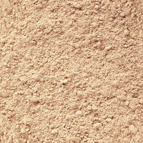 TROPICAL GECKO CREAM APRICOT Z MORELĄ 50G. 1png