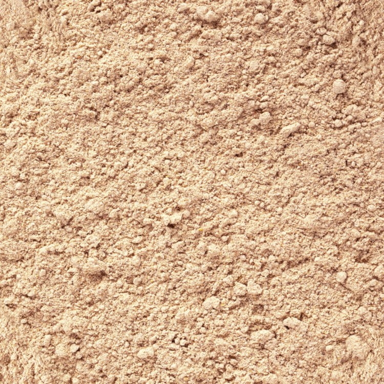 TROPICAL GECKO CREAM APRICOT Z MORELĄ 50G. 1png