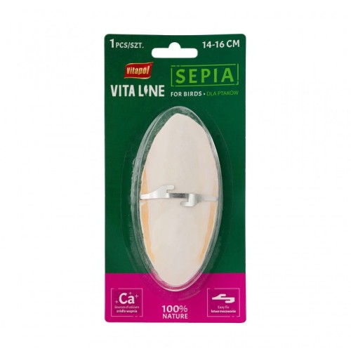 sepia-dla-ptakow-duza-14-16-cm-na-blistrze-karton-24-sztuki