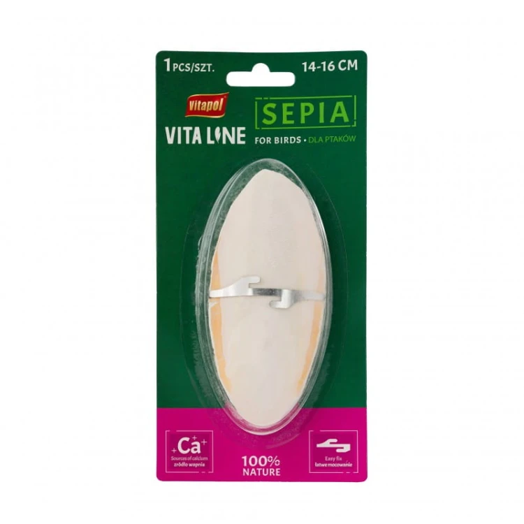 sepia-dla-ptakow-duza-14-16-cm-na-blistrze-karton-24-sztuki
