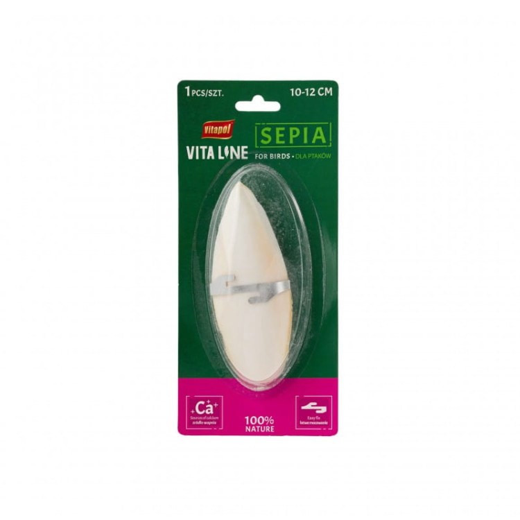 sepia-dla-ptakow-mala-10-12-cm-na-blistrze-karton-24-sztuki