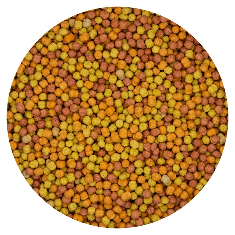 avimax-forte-avimax-forte-nutri-diamonds-medium-fr