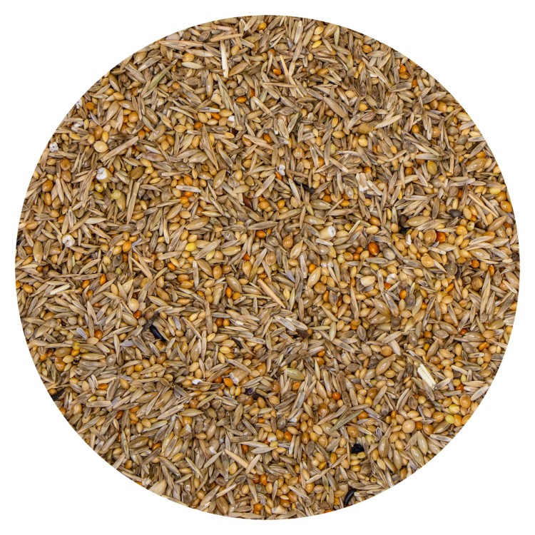 VAESEN 289 vdc-vdcastrilden-289