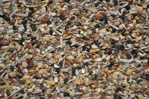 8ea99cf23599ab0327a8f47fad458c0c