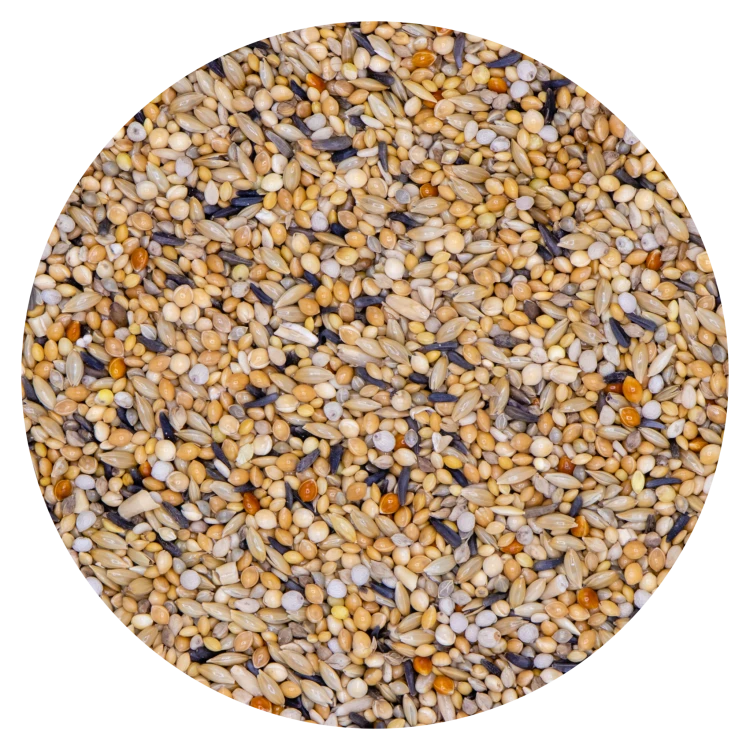 4523