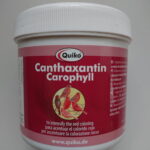 Quiko CANTHAXANTIN 100g czerwony barwnik dla kanarków