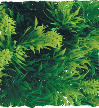 ZOO MED Roślina dekoracyjna Congo Ivy Small
