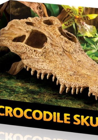 EXO TERRA Crocodile skull- ozdoba do terrarium
