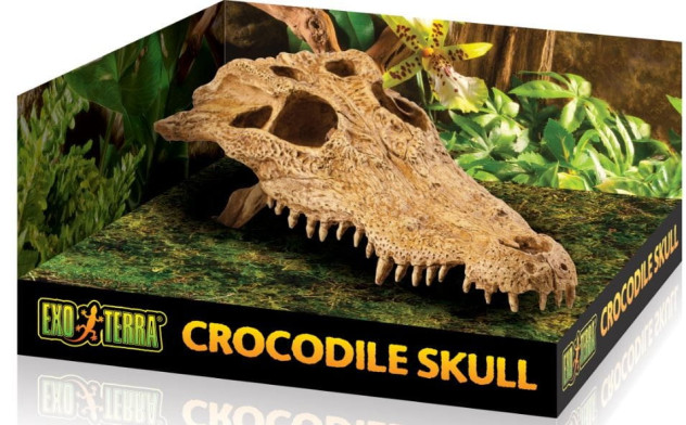 EXO TERRA Crocodile skull- ozdoba do terrarium