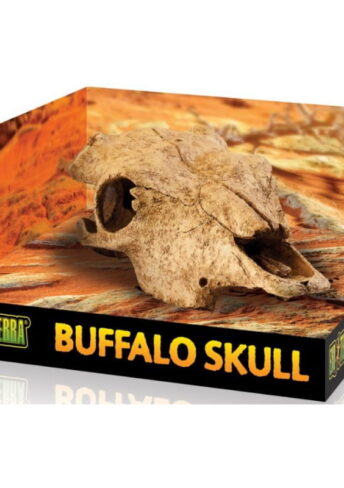 EXO TERRA Buffalo skull- ozdoba do terrarium