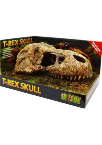 EXO TERRA T-REX skull- ozdoba do terrarium