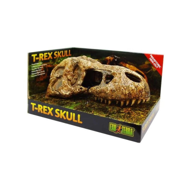 EXO TERRA T-REX skull- ozdoba do terrarium