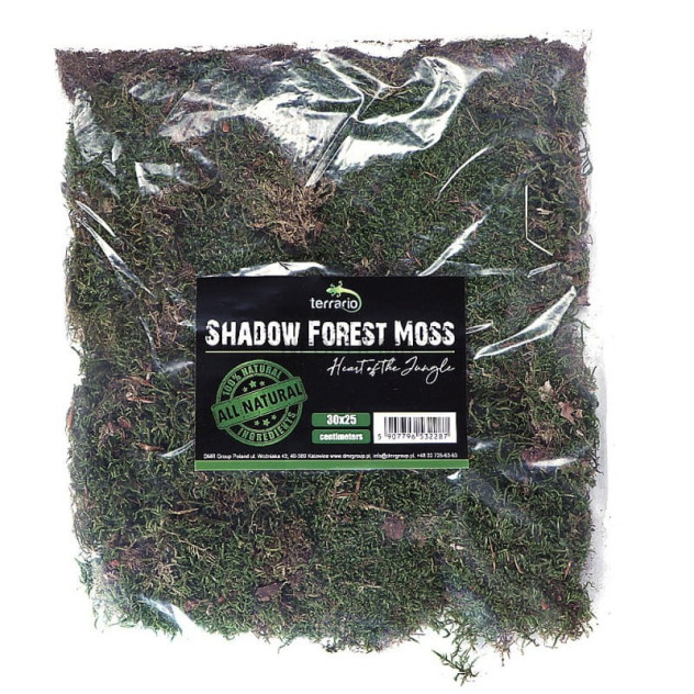 Terrario Shadow Forest Moss - mech naturalny 30x25cm