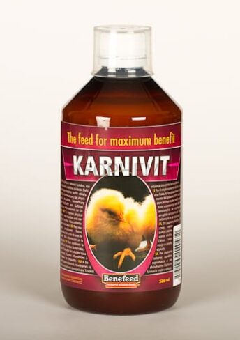 Benefeed Karnivit 500ml wspomaga lęgi dla drobiu