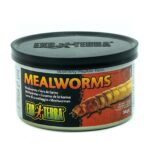 EXO TERRA Mealworms - pokarm w puszce mączniki