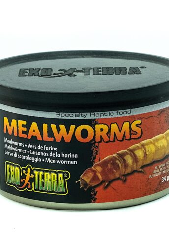 EXO TERRA Mealworms - pokarm w puszce mączniki