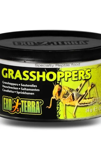 EXO TERRA Grasshoppers - pokarm w puszce konik polny